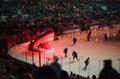 Sharks hockey team members take the ice Royalty Free Stock Photo