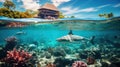 Sharks swim underwater near beach, wild sea predators and fish in blue water. View of sky and coast in resort. Theme of ocean life Royalty Free Stock Photo