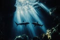Sharks Swimming in Ocean Royalty Free Stock Photo