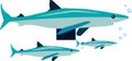 Sharks under sea, illustration, vector