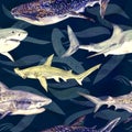 Sharks variety: Blue, Tiger, Whale and Hammerhead, hand painted watercolor illustration, seamless pattern on dark blue Royalty Free Stock Photo