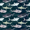 Sharks variety: Blue, Tiger, Whale and Hammerhead, hand painted watercolor illustration, seamless pattern in dark green ocean