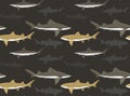 Sharks Wallpaper lemon broadfin