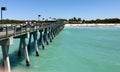 Sharky's Beach, Venice Fl.