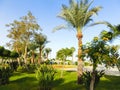 Sharm El Sheikh, Egypt - December 31, 2018: Tropical luxury Sultan Gardens Resort on Red Sea beach. Royalty Free Stock Photo