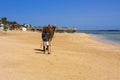 Sharm el-Sheikh, Egypt - March 14, 2018. Bedouin camel with a dr