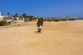 Sharm el-Sheikh, Egypt - March 14, 2018. Bedouin camel with a dr