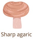 Sharp agaric mushroom color icon. Natural fungus