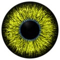 Sharp attractive deep eye texture 3D 9 Royalty Free Stock Photo