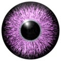 Sharp attractive deep eye texture 3D 2 Royalty Free Stock Photo
