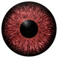 Sharp attractive deep eye texture 3D 10 Royalty Free Stock Photo