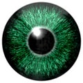 Sharp attractive deep eye texture 3D 3 Royalty Free Stock Photo
