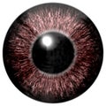 Sharp attractive deep eye texture 3D 5 Royalty Free Stock Photo