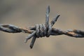 Sharp Barbed wire field closeup. Generate Ai Royalty Free Stock Photo
