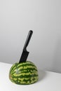 Sharp black knife in a striped watermelon on a white table. Minimal creative composition, vertical orientation Royalty Free Stock Photo