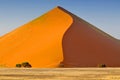 Sharp border of light and shadow over the crest of the dune at sunrise at Sossusvlei Namib Desert, Namib Naukluft National Park of Royalty Free Stock Photo