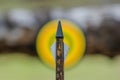 sharp broadhead arrow tip with a blurry yellow target center