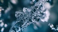 Sharp Crystallized Snowflake Formations In A Frozen Setting Royalty Free Stock Photo