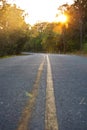 Sharp curve road throgh the forest