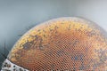 Sharp and detailed dried dead fly compound eye surface at extreme magnification taken with microscope objective