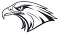 A sharp and detailed headshot of a fierce bald eagle in profile, vector design Generative AI Royalty Free Stock Photo