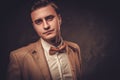 Sharp dressed man wearing jacket and bow tie Royalty Free Stock Photo