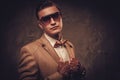 Sharp dressed man wearing jacket and bow tie Royalty Free Stock Photo