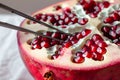 sharp focus on tweezers plucking arils from a pomegranate Royalty Free Stock Photo