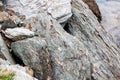 Sharp gray rocks on the beach