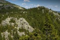 Sharp grey rocks and cliffs in green spruce forest valley in bright sunny day with white clouds in blue sky and sunlights, high. Royalty Free Stock Photo