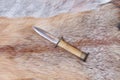 Sharp hunting knife
