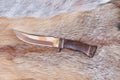 Sharp hunting knife