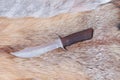 Sharp hunting knife