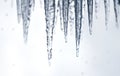 Sharp icicles dripping with water behind Niagara Falls Royalty Free Stock Photo