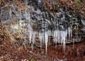 Sharp icicles formed on the rocks during cold winter