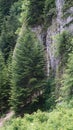 Limestone rock peaks and mountain slopes in the Polish Pieniny Mountains overgrown with trees and shrubs by the Dunajec River. Royalty Free Stock Photo