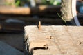 Sharp nail in old wood