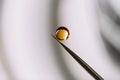 Sharp object with golden droplet suspended above it, against a blurred white background