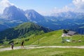 Sharp peaks rise above alpine summer meadows