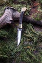 A sharp pocket knife for hunters. Folding american knife