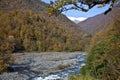 A sharp river flowing in the forest. A mountain river. A river of stones. A muddy river Royalty Free Stock Photo