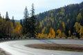Sharp road bend in autumn forest Royalty Free Stock Photo