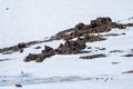 Sharp rocks. Highland scenery with sharpened stones of unusual shape. Awesome scenic mountain landscape with big cracked pointed