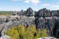 Sharp rocks in Tsingy de Bemaraha National Park, Madagascar.