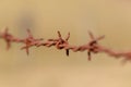 Rusty barbed wire, close up of a single strand on a fence post Royalty Free Stock Photo