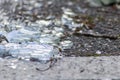 Sharp shards of a broken glass bottle on the ground with sharp blades are dangerous from vandalism and drunk people Royalty Free Stock Photo