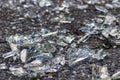 Sharp shards of a broken glass bottle on the ground with sharp blades are dangerous from vandalism and drunk people Royalty Free Stock Photo