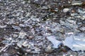 Sharp shards of a broken glass bottle on the ground with sharp blades are dangerous from vandalism and drunk people Royalty Free Stock Photo