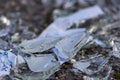 Sharp shards of a broken glass bottle on the ground with sharp blades are dangerous from vandalism and drunk people Royalty Free Stock Photo