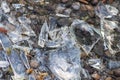 Sharp shards of a broken glass bottle on the ground with sharp blades are dangerous from vandalism and drunk people Royalty Free Stock Photo